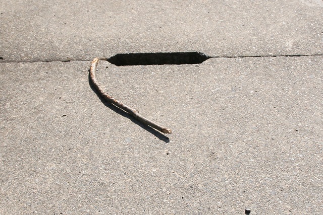 eda