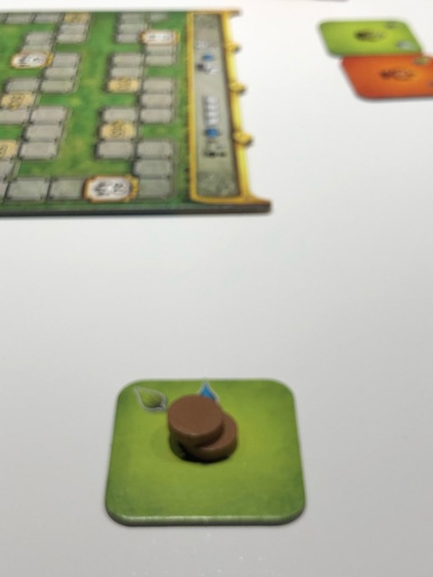 �ץ쥤���ͻ�81