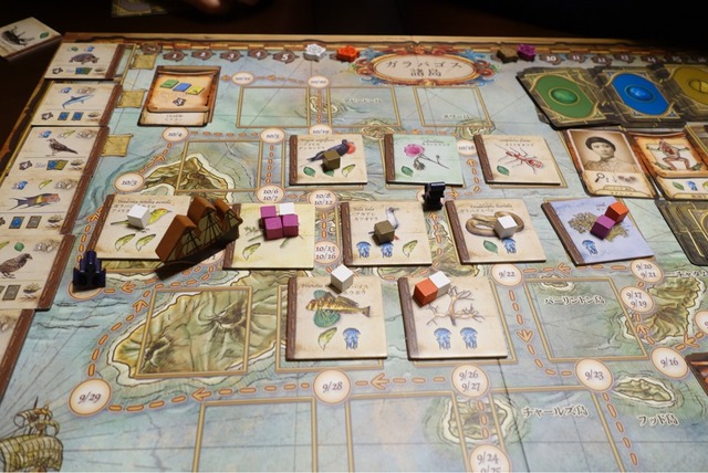 ͷ��Ǥ����ͻ�95