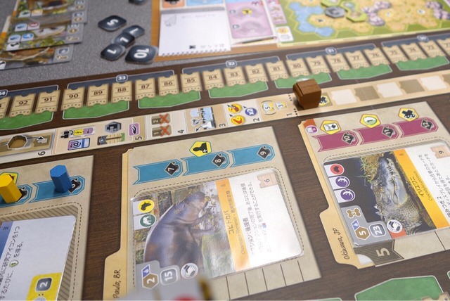 �ץ쥤���ͻҵٷ�