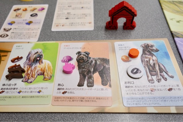 ¥×¥ì¥¤¤ÎÍÍ»Ò0