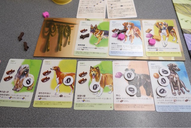 �ץ쥤���ͻ�0