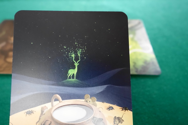 �����������줿�����ɼ̿�