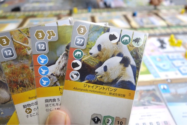 �ץ쥤���ͻ�