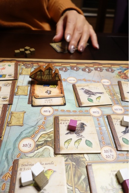 �����ཪλ����