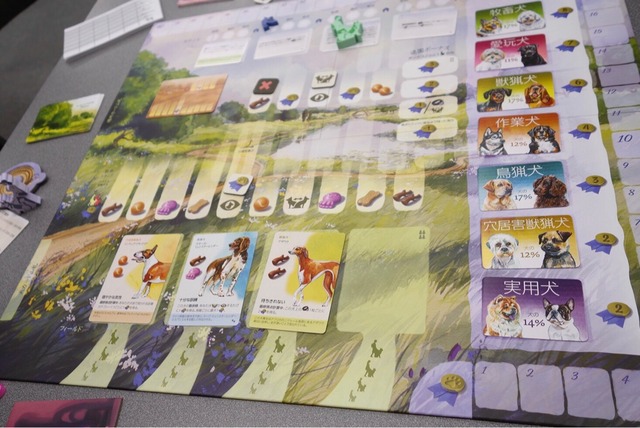 �������Ȼ�