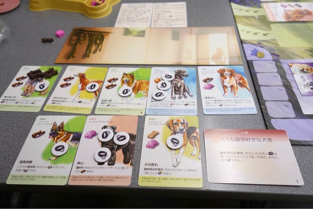 �ץ쥤���ͻ�0