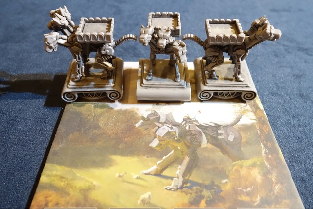 �ե����奢31