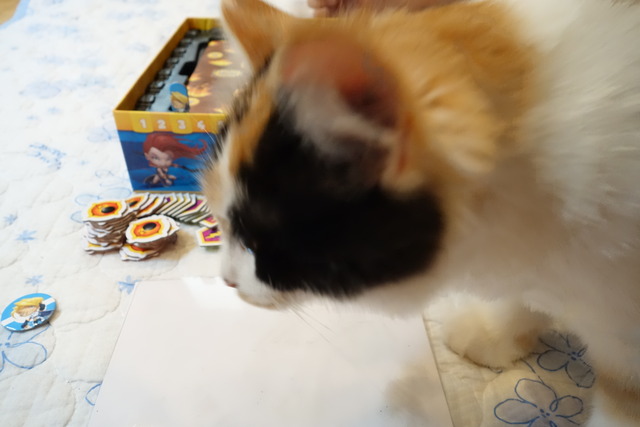 DSC07041