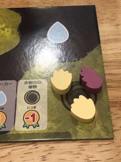 �ץ쥤���ͻ�39