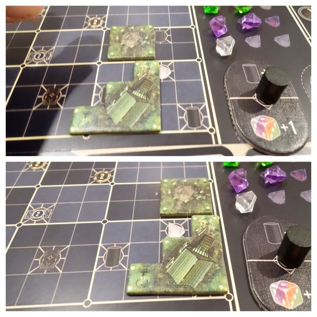 ���ۥ����륳���Ȥμ̿�