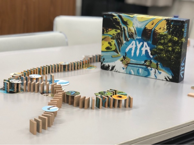 ¥Ü¡¼¥É¥²¡¼¥à¡ØAYA¡Ù¤Î¼Ì¿¿