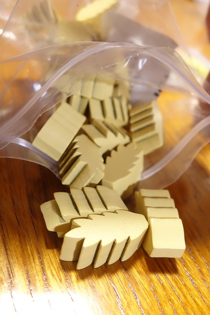 �������ޤμ̿�