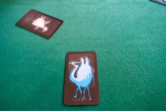 ドデリドの青いラクダカードと白いペンギンカードの写真
