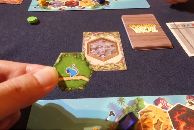 �ĥ��ʥӥ������55