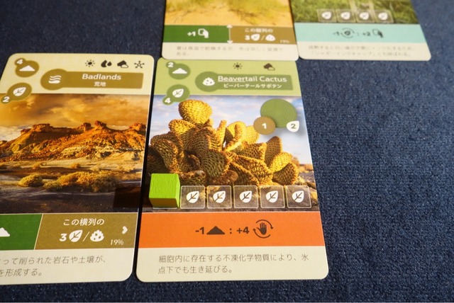 ͷ��Ǥ����ͻ�41