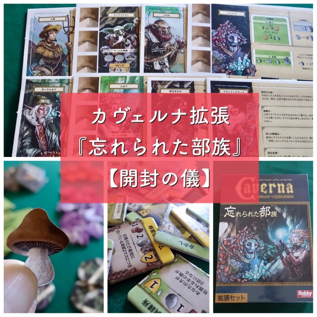 カヴェルナ拡張『忘れられた部族』 開封の儀！ 個性的部族が8