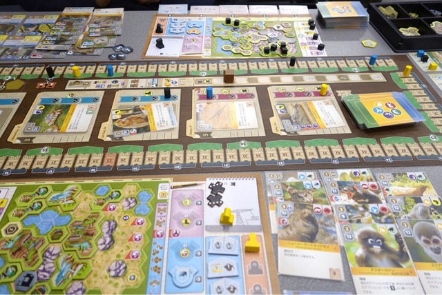 �ץ쥤���ͻ�