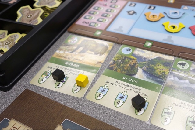 �ץ쥤���ͻ�