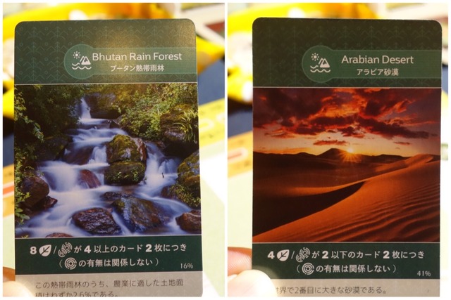 ͷ��Ǥ����ͻ�12