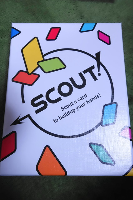 �ѥå���������Ƽ̿�