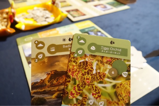 ͷ��Ǥ����ͻ�35