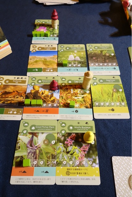 ͷ��Ǥ����ͻ�54