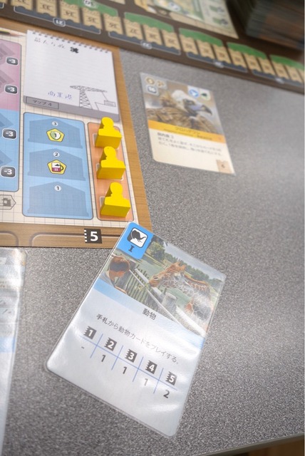 �ץ쥤���ͻ�