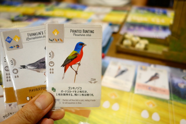 ボーナスカードを引ける鳥カード