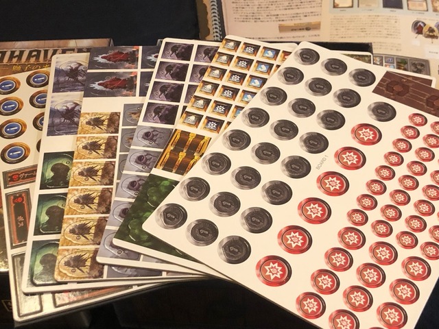 �����륷���Ȥμ̿�