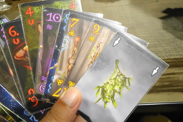 ��ʪ�������줿�����ɤμ̿�