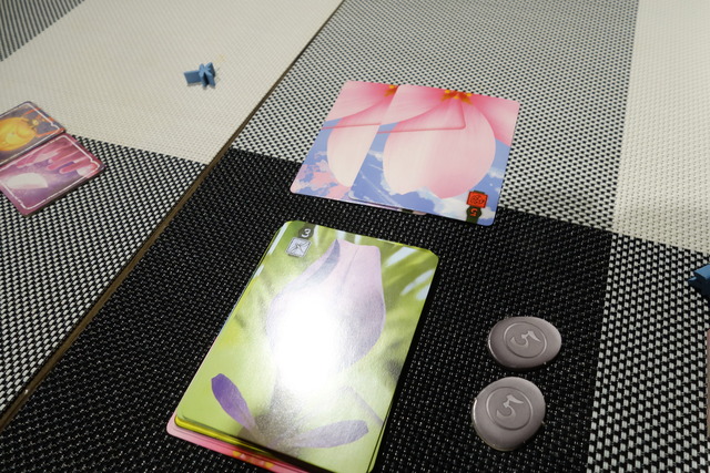 プレイの様子99