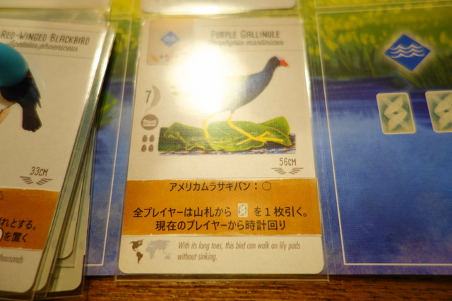 アメリカムラサキバンの効果