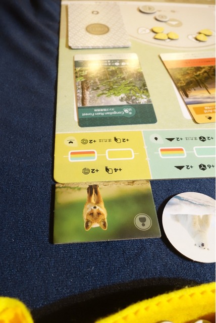 ͷ��Ǥ����ͻ�34