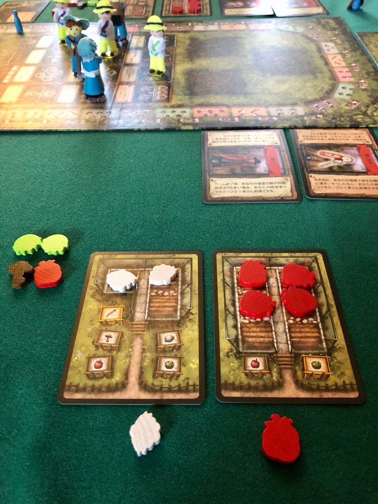 アイスランド舞台の野菜と観光のボードゲーム レイクホルト レビュー 2人で遊んだリプレイ ある元心理カウンセラーのボードゲーム日記 アイスランド舞台の野菜と観光のボードゲーム レイクホルト レビュー 2人で遊んだリプレイ ある元心理カウンセラーのボードゲーム日記