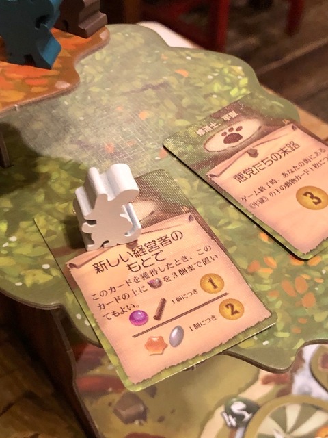 �ü쥤�٥�ȥ����ɤμ̿�