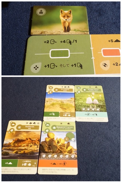 ͷ��Ǥ����ͻ�15