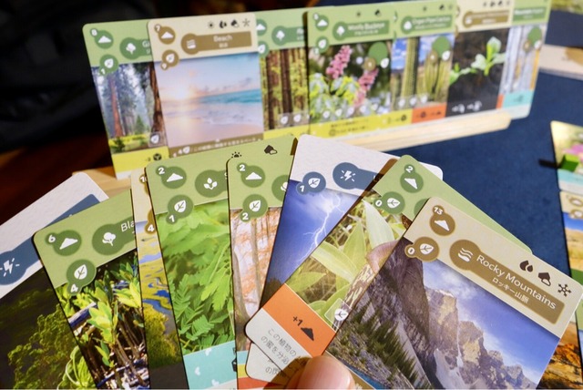 �����ɤ��äѤ���