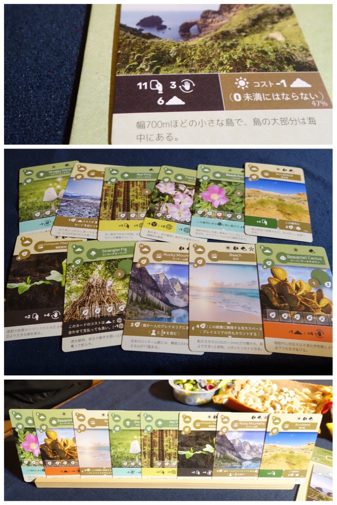 〈新品未使用品〉EARTH CARD アースカード アース／EARTH』日本語版 レビュー【リプレイ】 : ある元心理