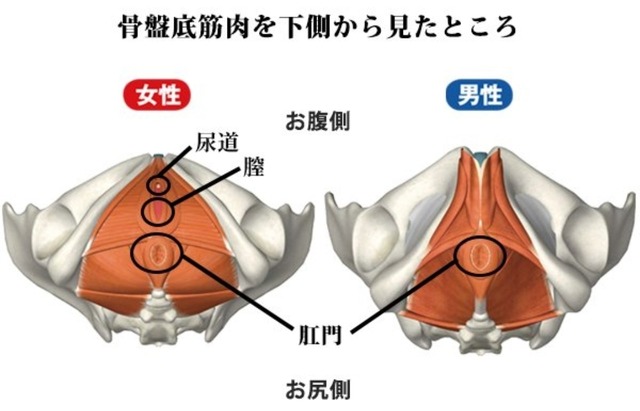 Screenshot_20250418_225511_X