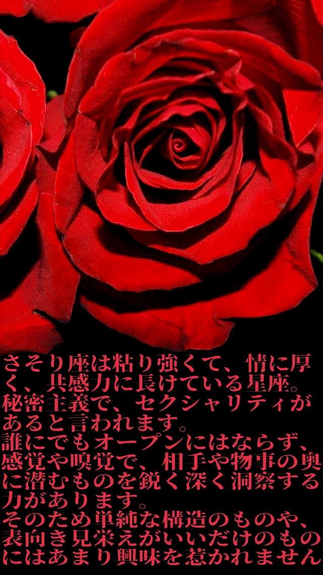 25-10-16-09-09-47-881_deco