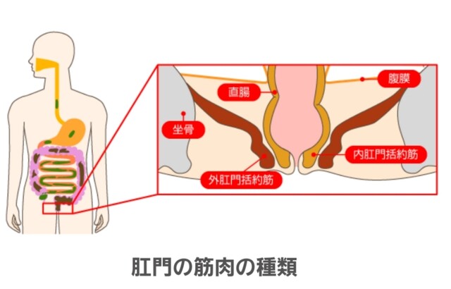 Another Heaven † : アナルプレイやるならば男女共に、肛門括約筋鍛えないとマジでヤバイ話！の巻