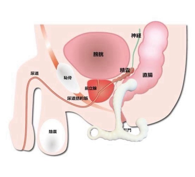 25-10-13-08-37-54-167_deco