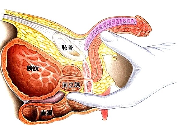 物理的にどんな体だろうが、諦めないで頑張ったアナラーだけにドライ