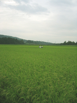 �Ĥ�ܤο�����