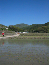 肥土山