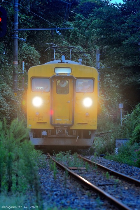 DSC_9280
