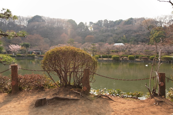 EF28-70mm F2.8 L USM
