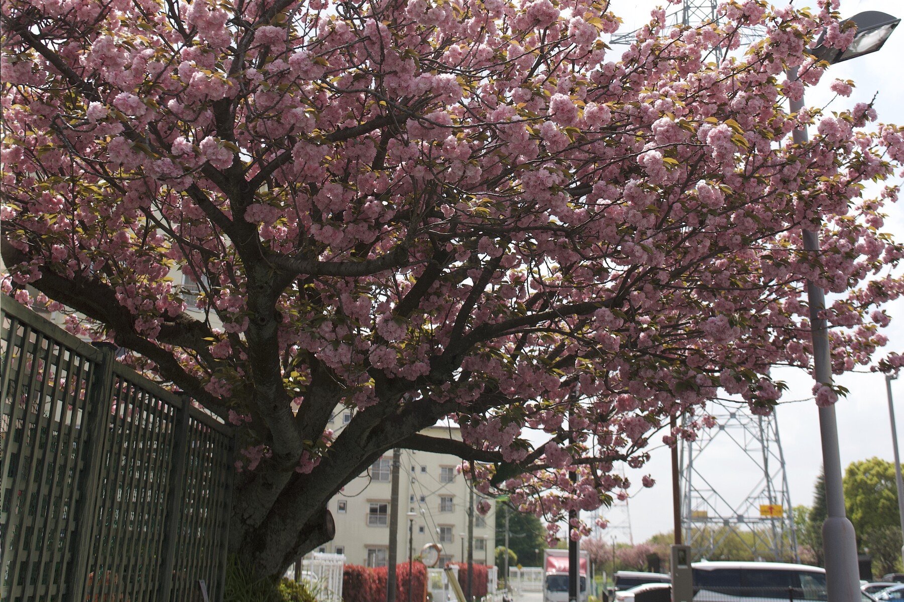 VZ5U1279hx