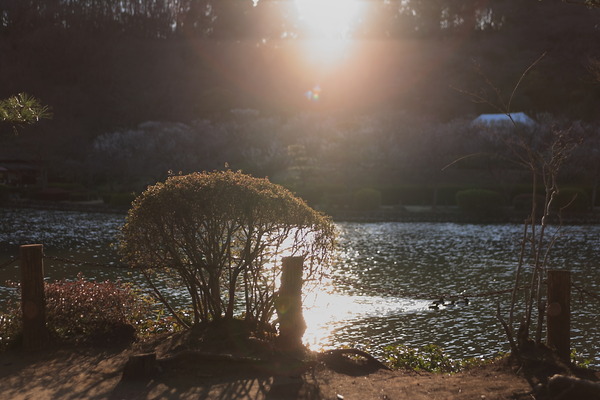 EF28-70mm F2.8 L USM